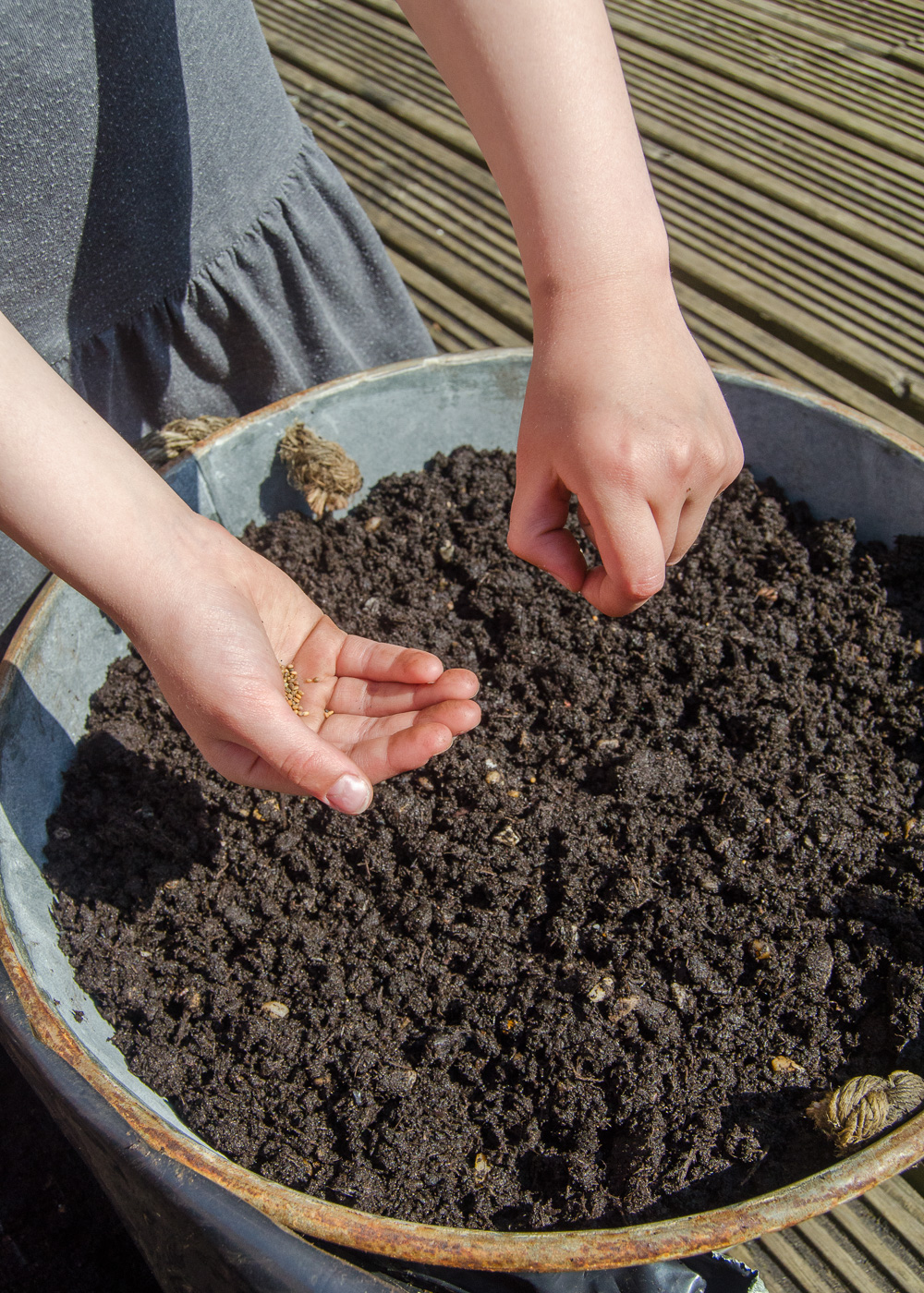 Grow Your Own for kids: how to grow salad